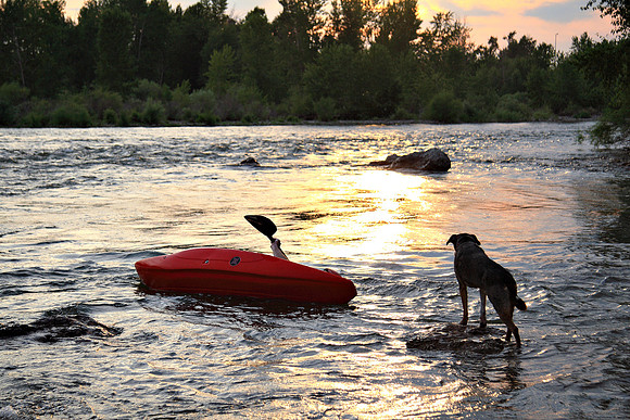 Master Kayaker