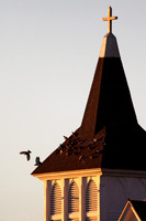 Steeple Flight