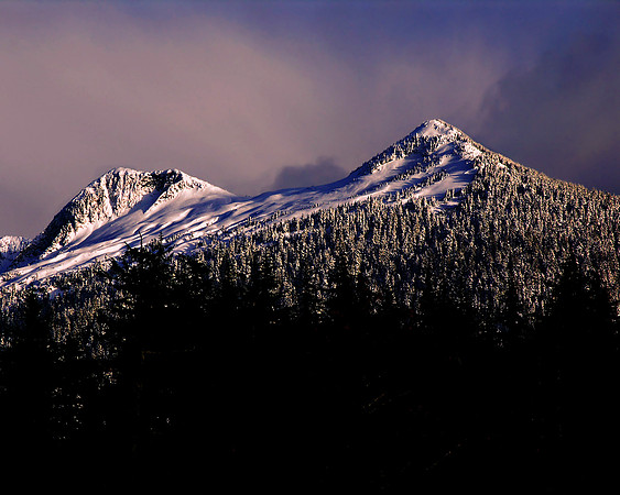 Deer Mountain