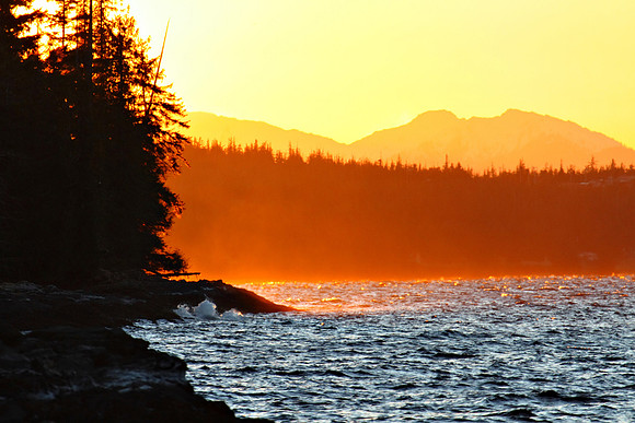 Settlers Cove Sunset