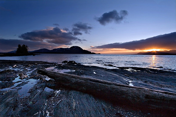 Beach Log Sunset